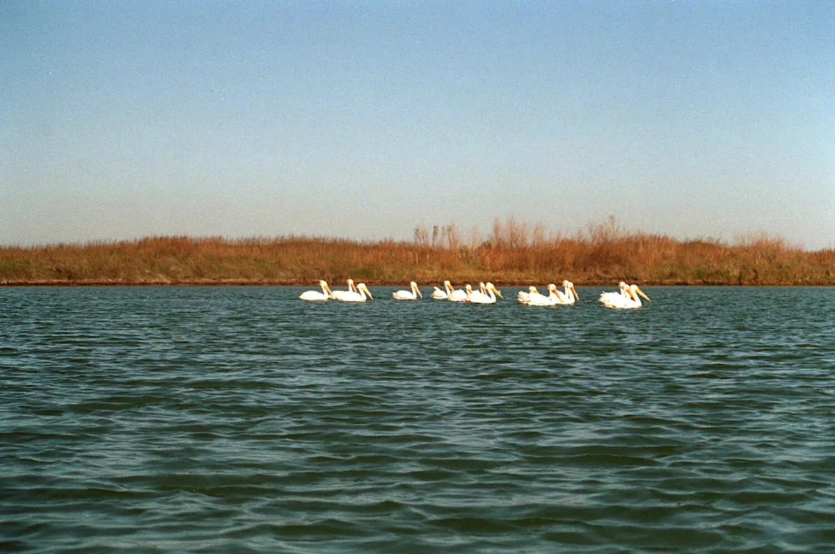 Texas Game Wardens investigate a fatal boat collision near the Bird Island Basin boat ramp on the Laguna Madre